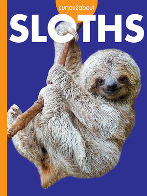 cover image of Curious about Sloths